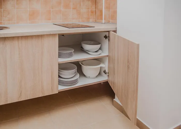 Viva Apartman Vrnjačka Banja